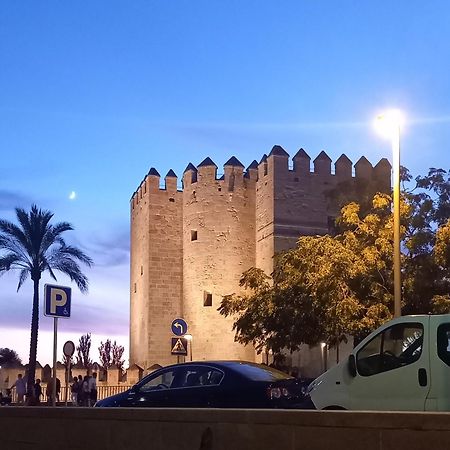 Apartamento Andalucia Córdoba Eksteriør billede