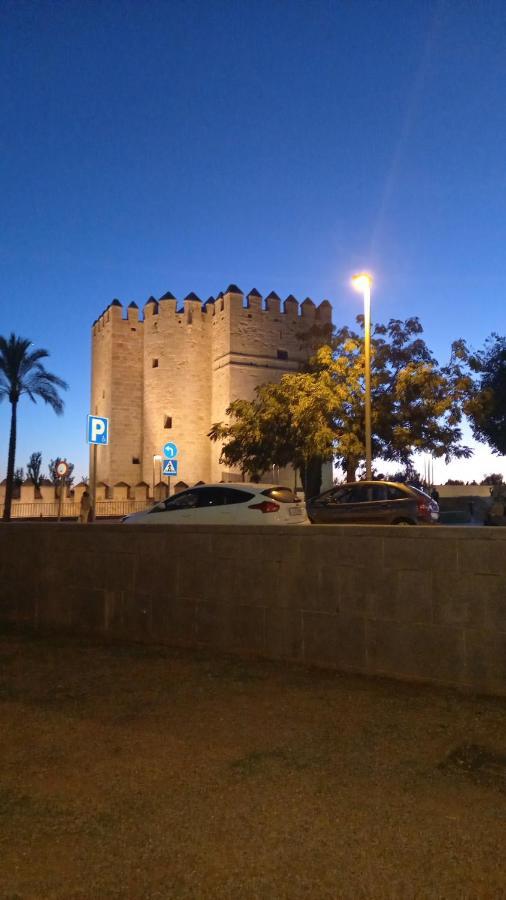 Apartamento Andalucia Córdoba Eksteriør billede